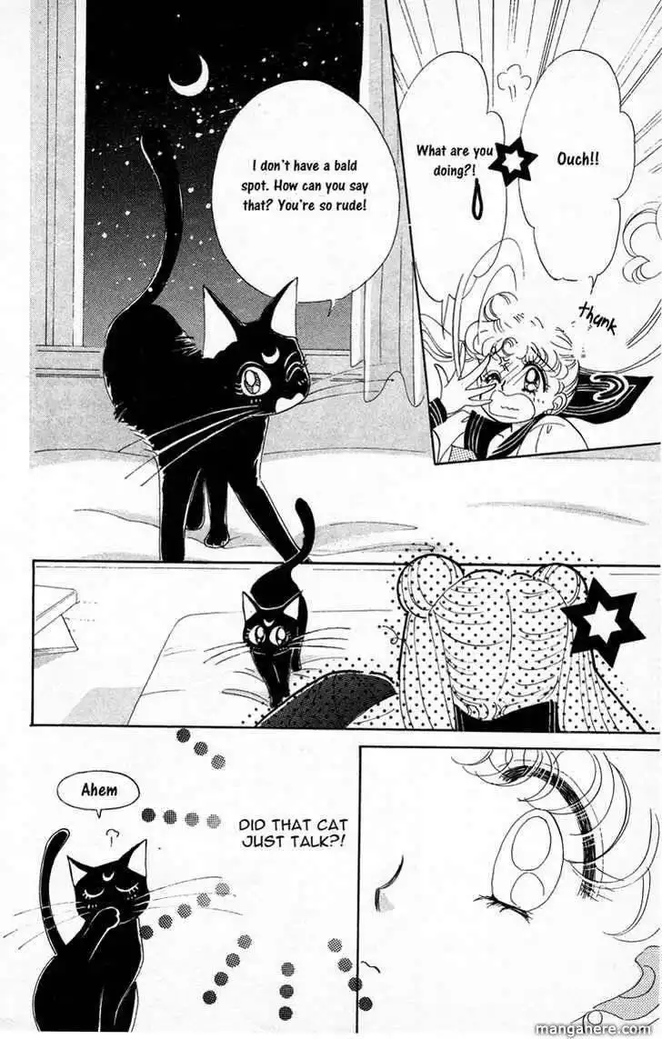 Sailor Moon Chapter 1 27